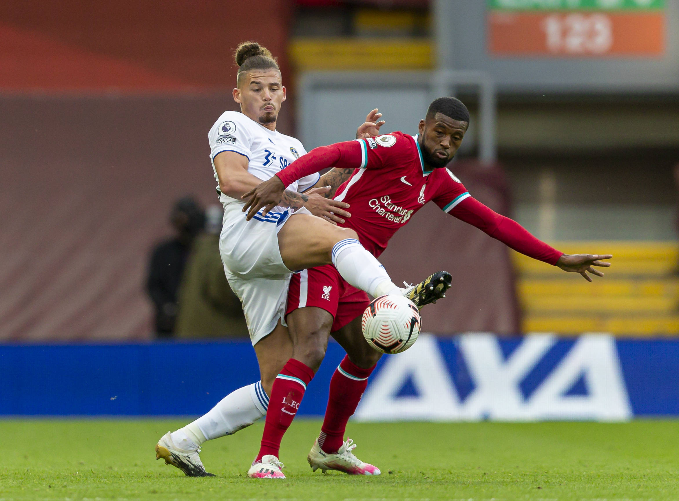 作为全球最 作为全球最